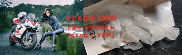 хмурый Алексин