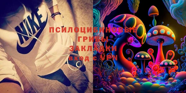 сатива Алексеевка