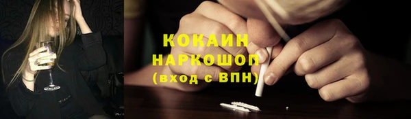 хмурый Алексин