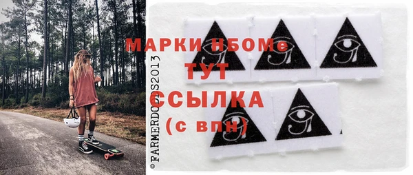 хмурый Алексин