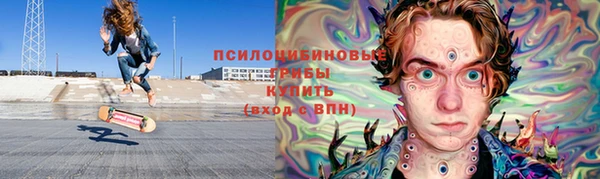 сатива Алексеевка